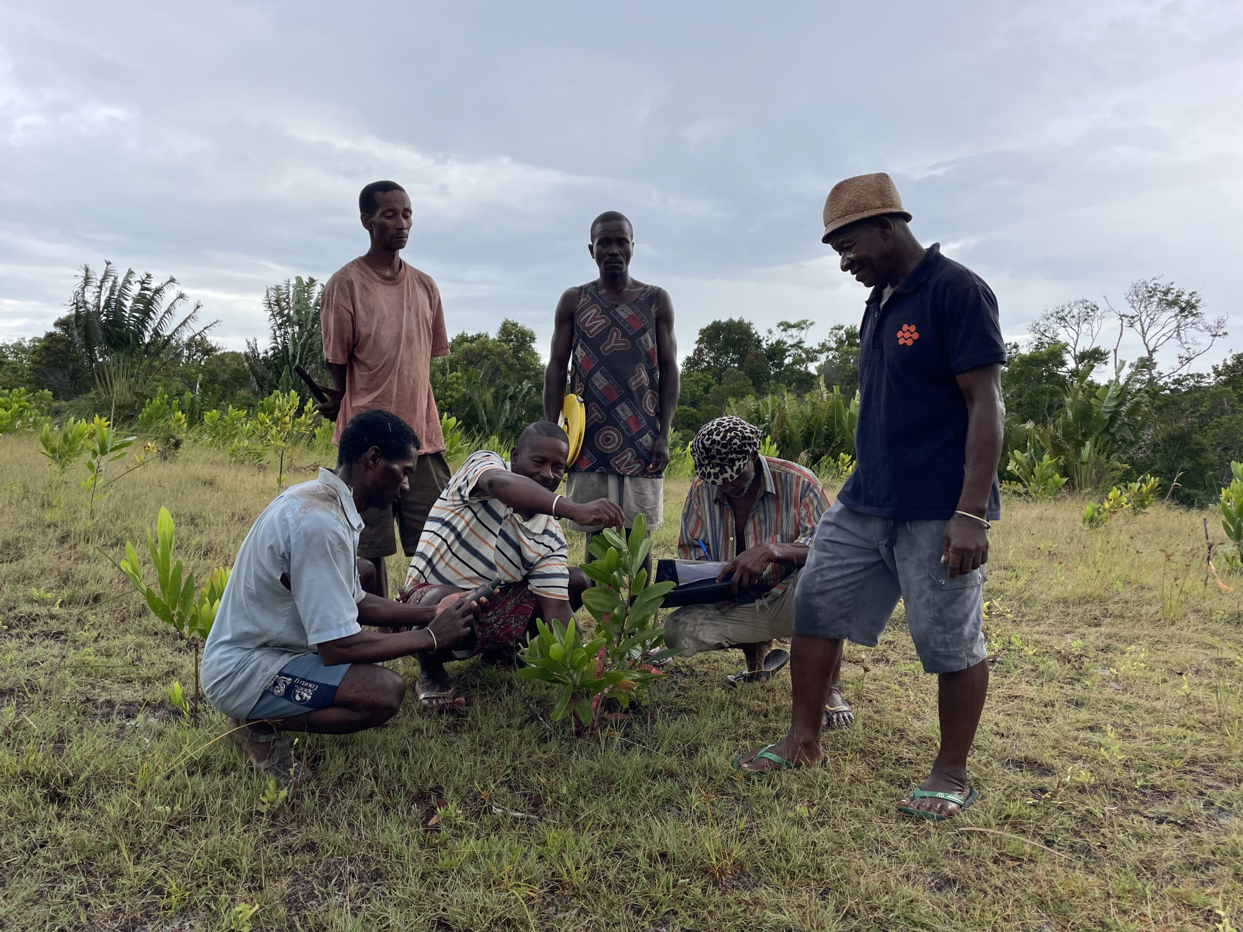 Land-owners surveying trees for a reforestation project, Madagascar