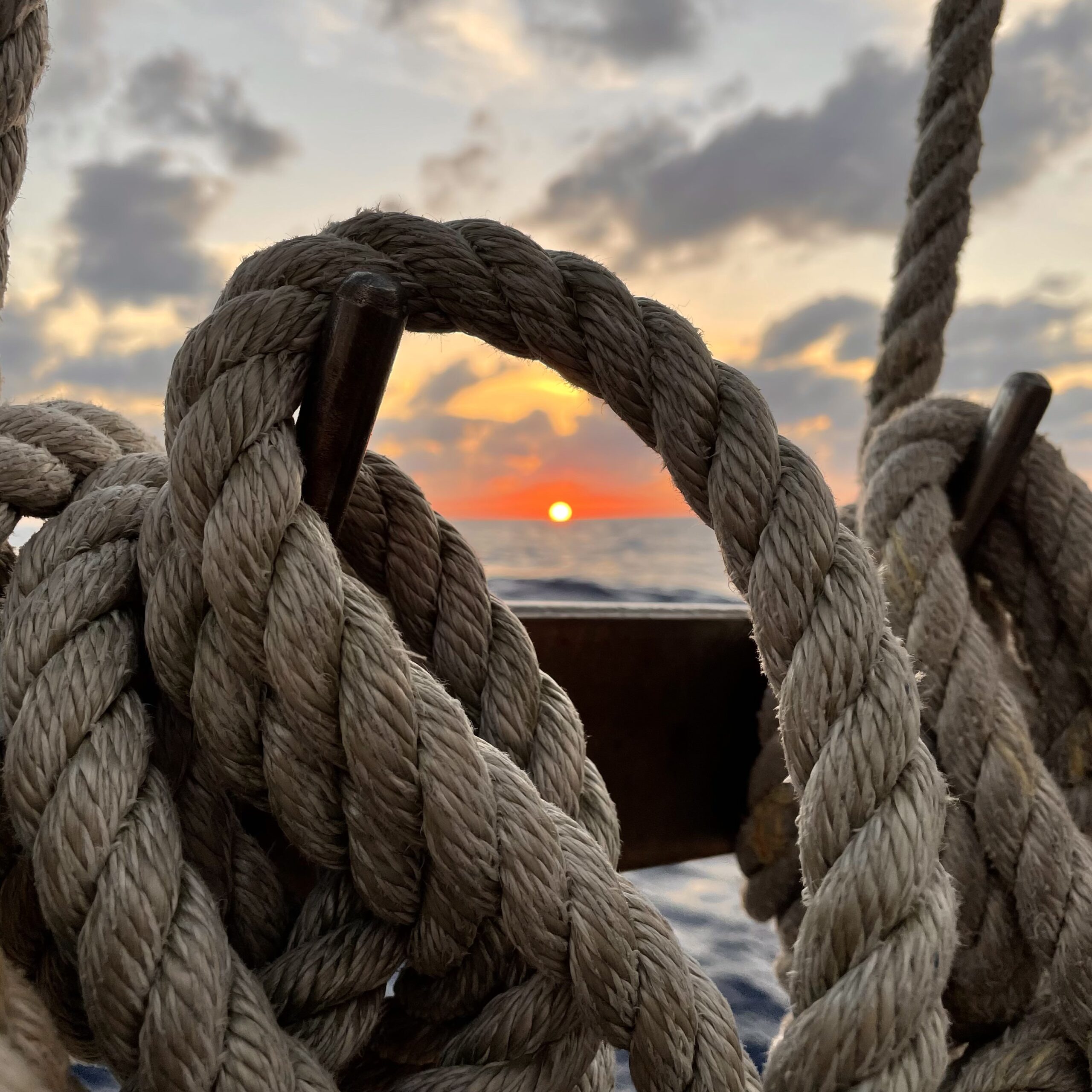 IMG_5261_(copy)_(copy)