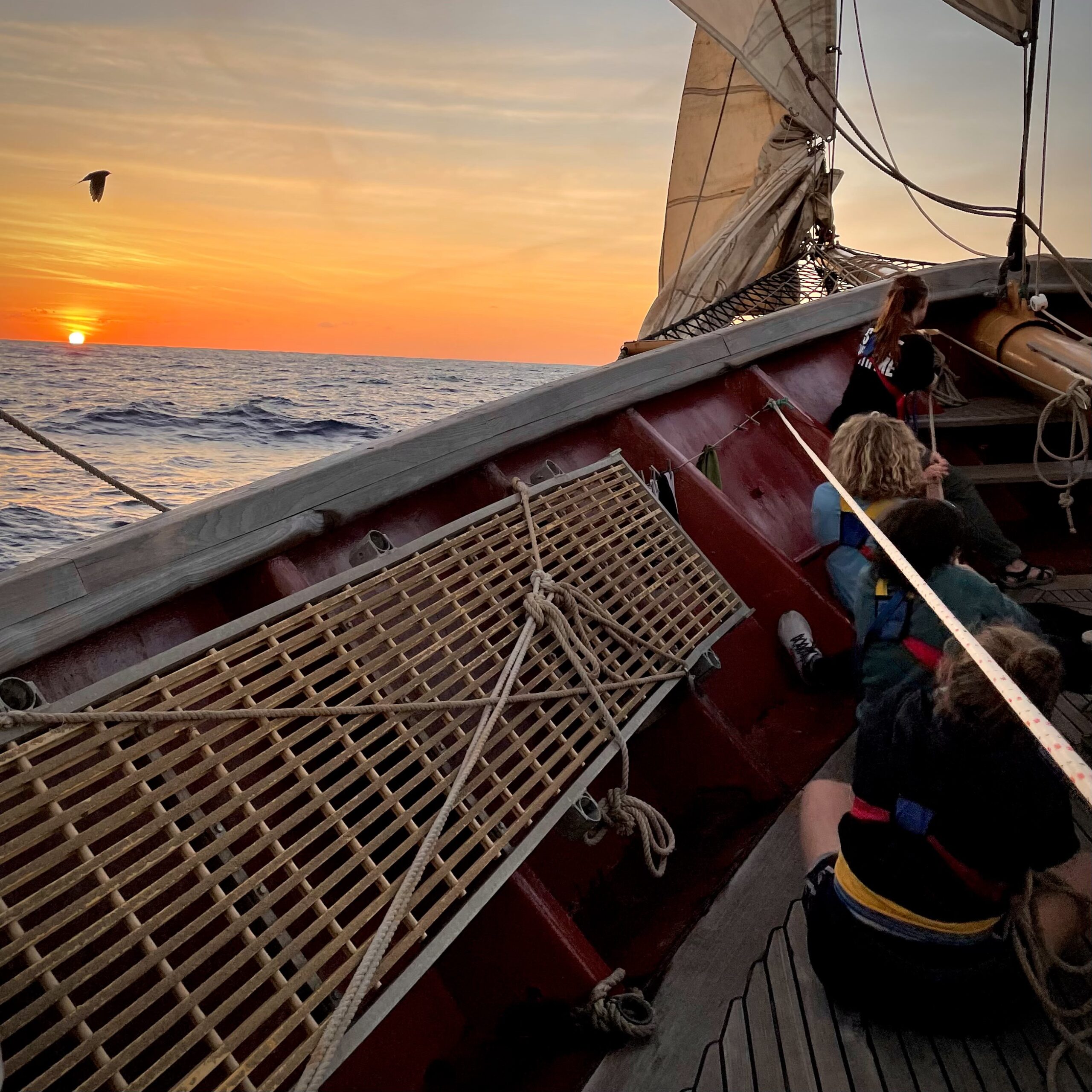 IMG_5334_(copy)_(copy)_(copy)