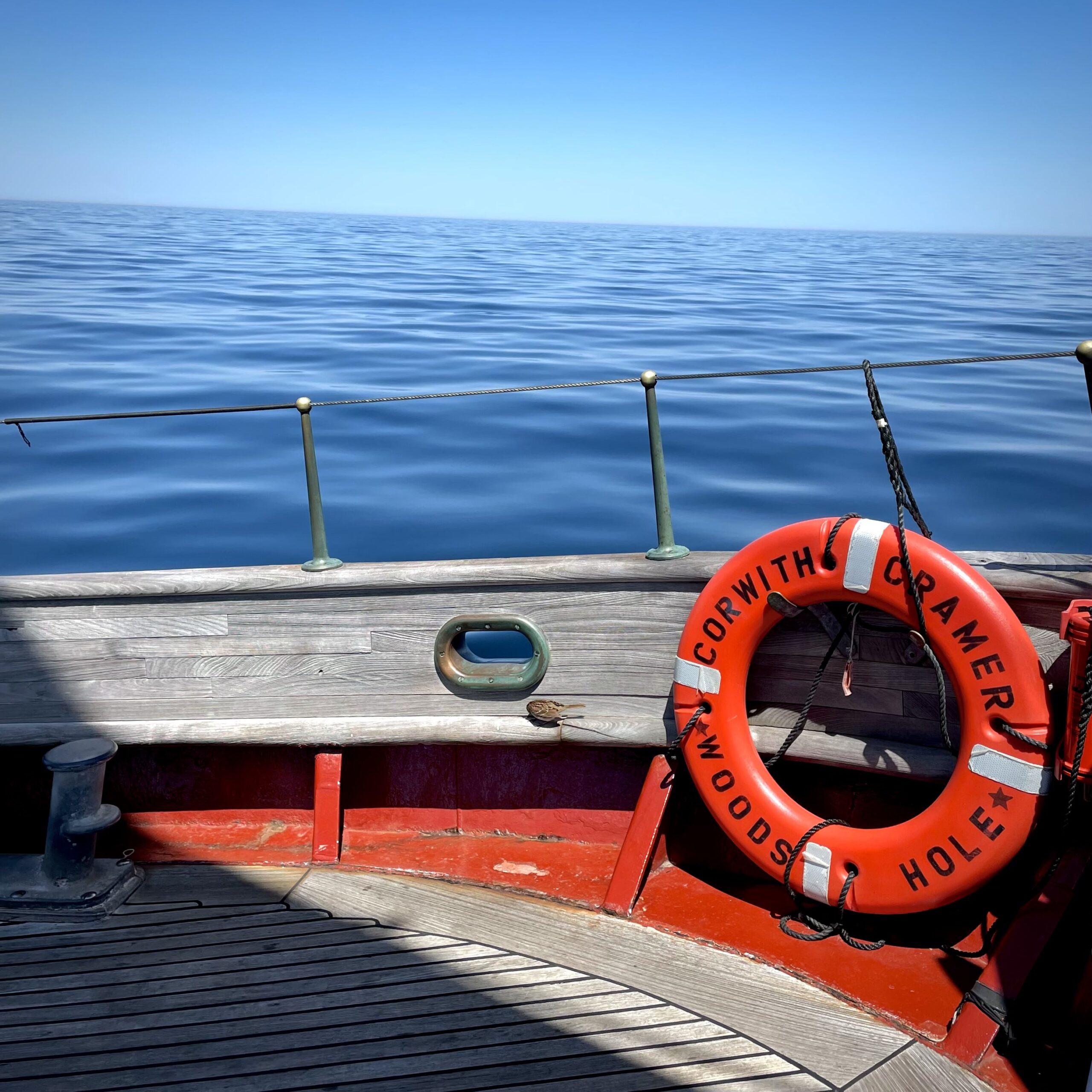 IMG_5591_(copy)_(copy)